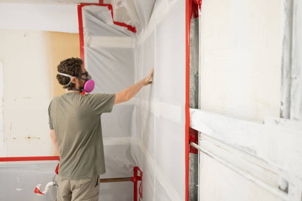 Best Black Mold Removal  in Green Cove Springs, FL