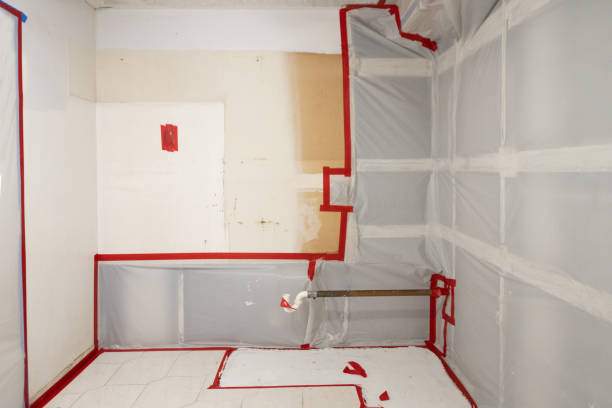 Best Biohazard Mold Removal  in Green Cove Springs, FL