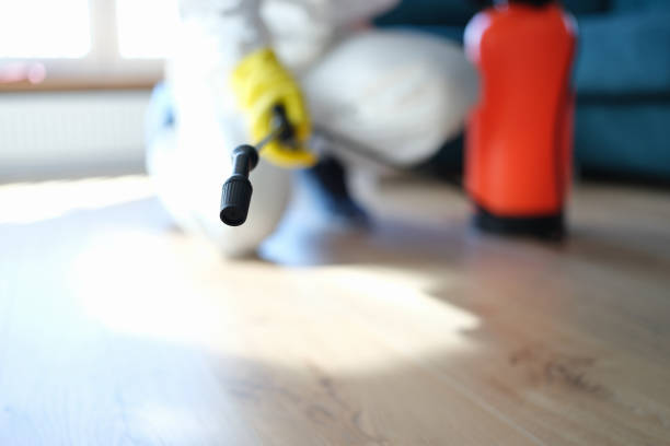 Best Mold Removal for HVAC Installations  in Green Cove Springs, FL