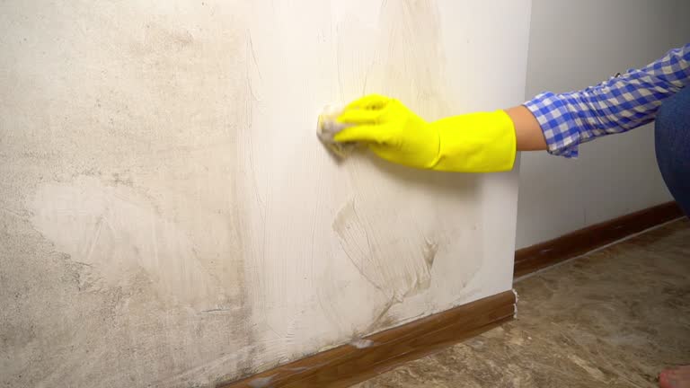 Best Indoor Air Quality Assessment  in Green Cove Springs, FL