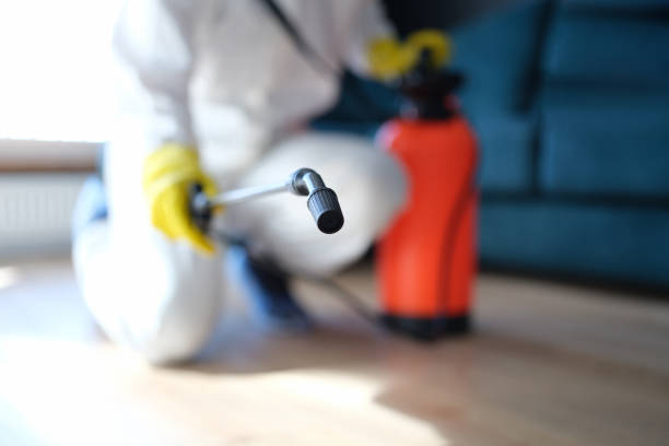 Best Post-Remediation Verification Testing  in Green Cove Springs, FL