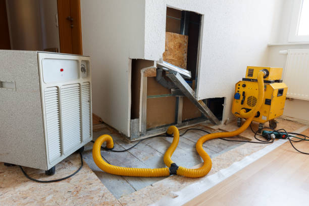 Forensic Mold Investigation in Green Cove Springs, FL