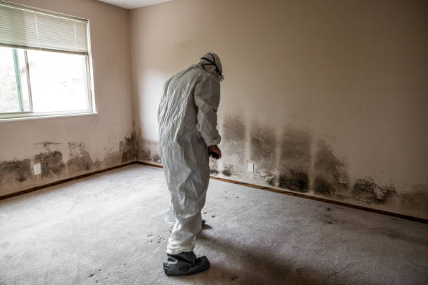 Mold Remediation for Rental Properties in Green Cove Springs, FL